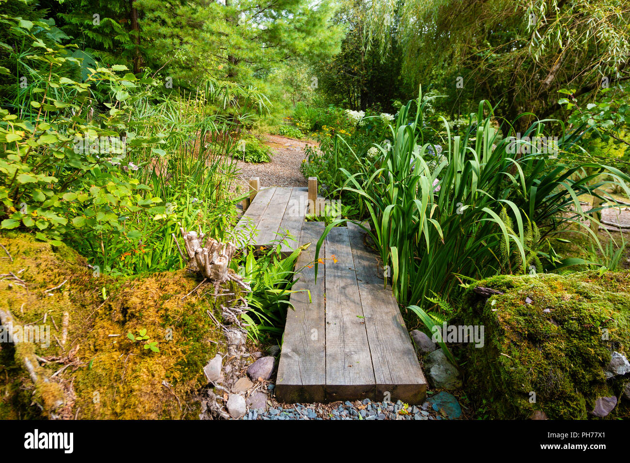 Wooden path in overgrown private garden, Templenoe, Kenmare, County Kerry, Ireland Stock Photo