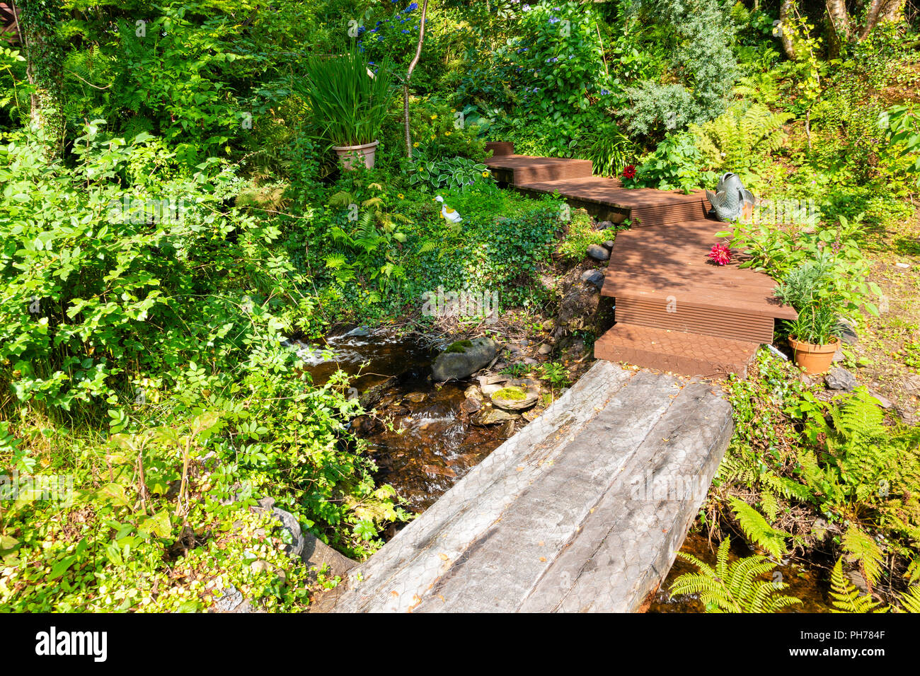 Wooden path in overgrown private garden, Templenoe, Kenmare, County Kerry, Ireland Stock Photo