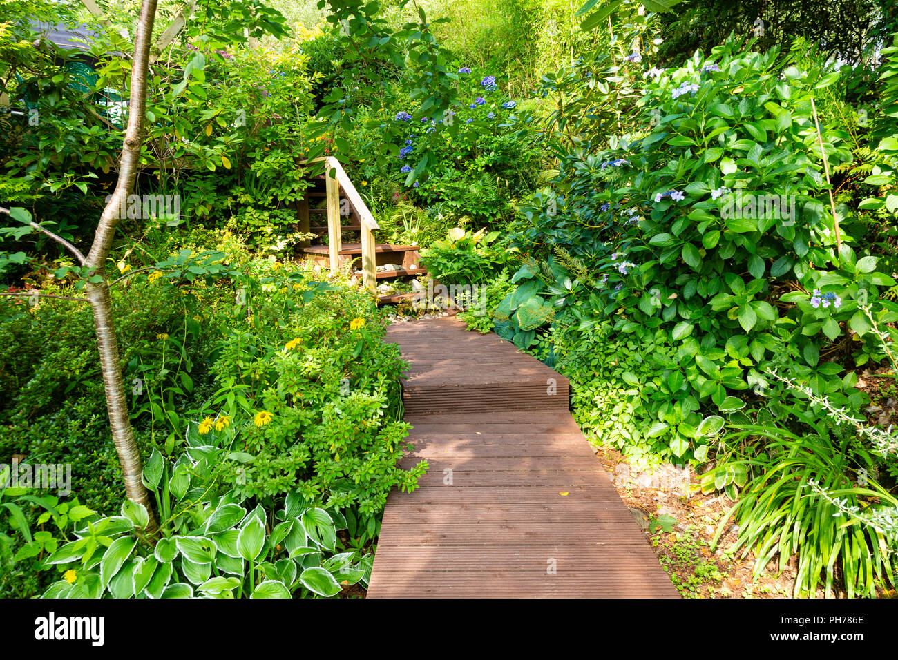 Wooden path in overgrown private garden, Templenoe, Kenmare, County Kerry, Ireland Stock Photo