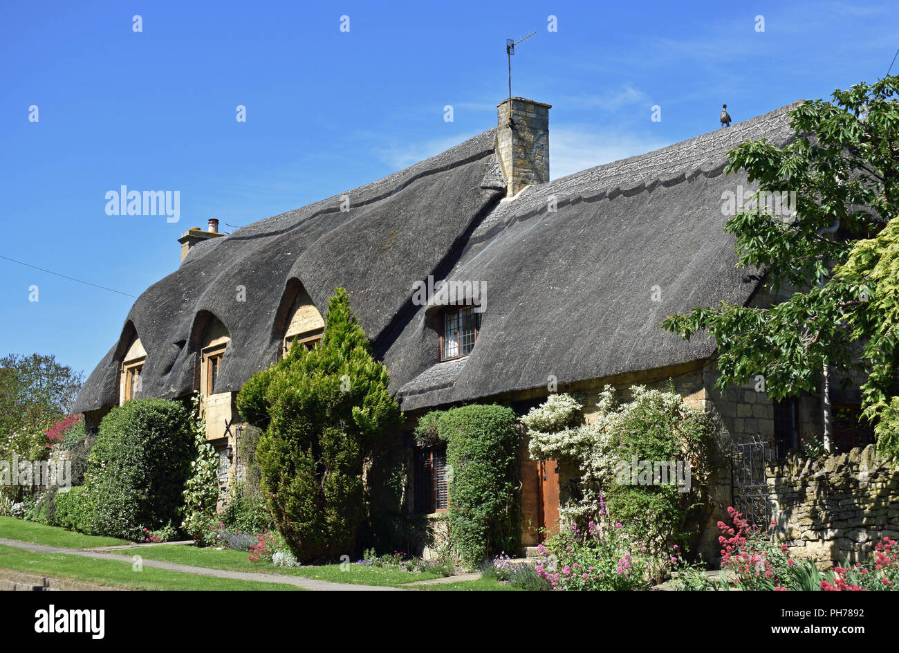 Thatched Cottage Chipping Campden Gloucestershire Cotswolds