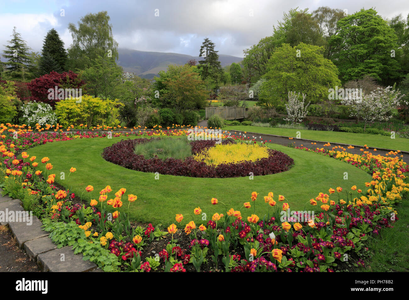 Spring flowers in Hope Park, Keswick town, Lake District National Park, Cumbria County, England 