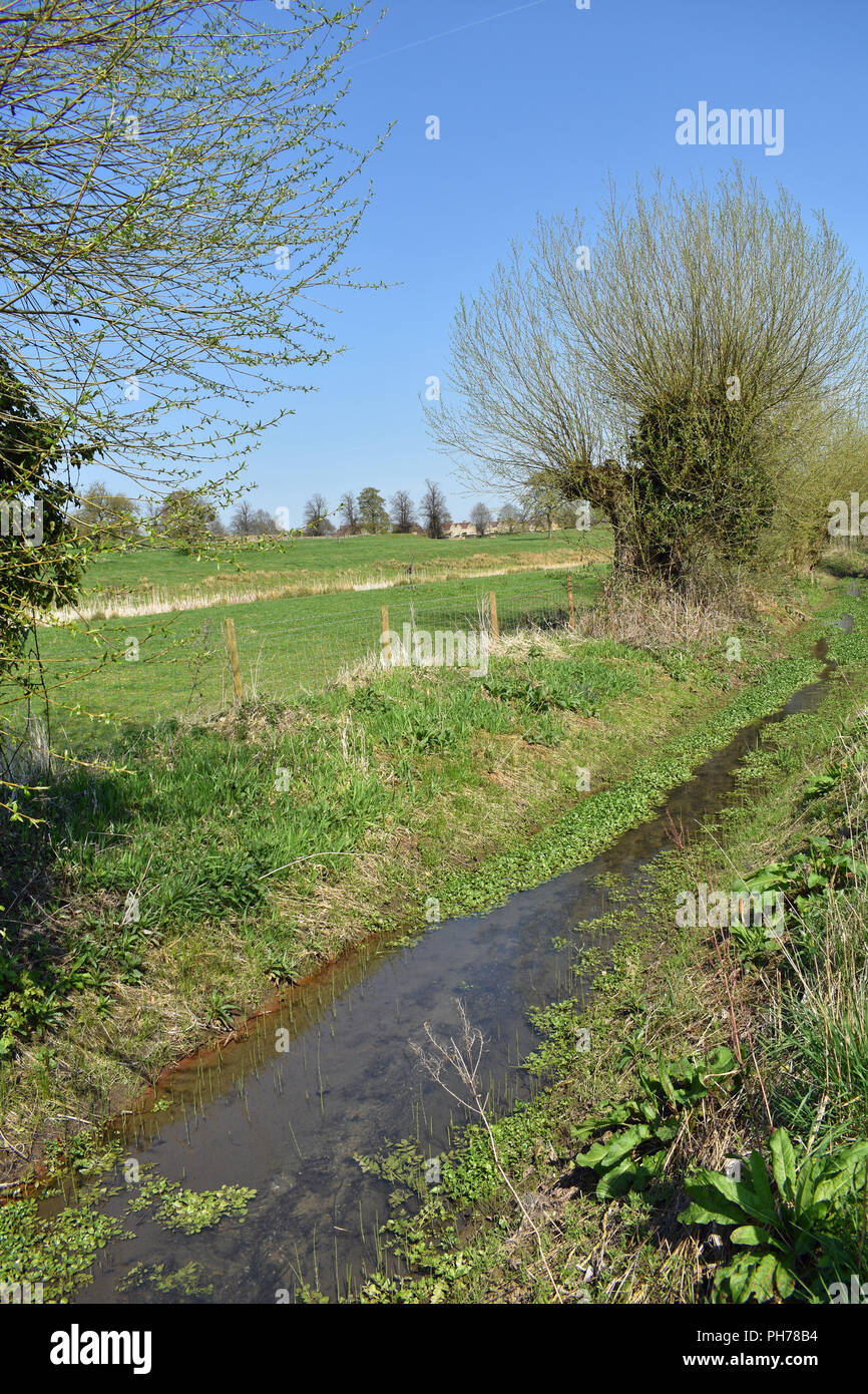 River Cam, The Coneygree, Chipping Campden, Gloucestershire, Cotswolds