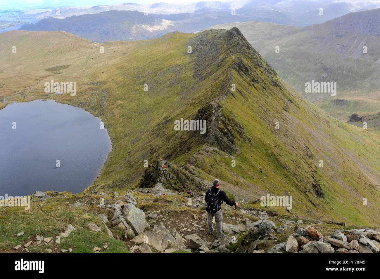 Walkers on Striding Edge ridge on the way to Helvellyn fell, Lake ...
