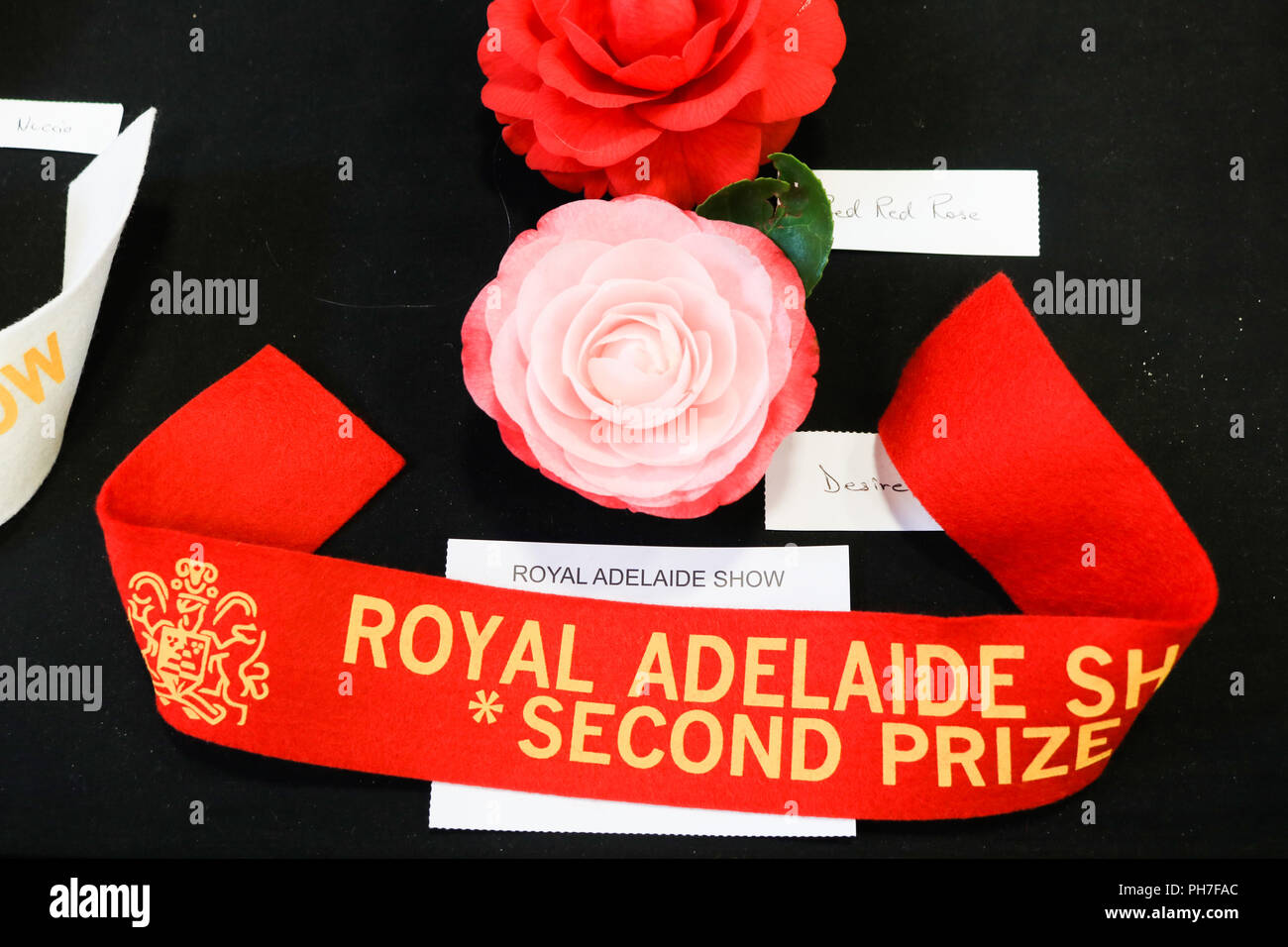 Adelaide Australia.31 August 2018.  The Royal Adelaide Show an annual agricultural event run by the Royal Agricultural and Horticultural Society of South Australia  where 'city meets country' and the rural industries of Australia can be shown and celebrated once a year opens at the Adelaide Showgrounds from 31 August-9 September showcasing, local produce, cookery competitions, animals, rides, food and  entertainment and judging livestock Credit: amer ghazzal/Alamy Live News Stock Photo