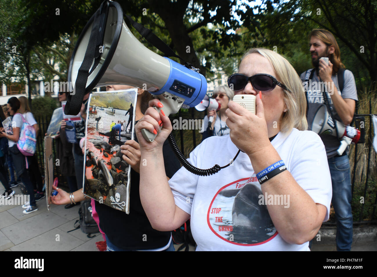 London, UK. 31st August 2018. Animal rights activists protest the mass killing of Pilot Whales and other cetaceans during the infamous Grindadrap hunts in the Faroe Islands outside Denmark Embassy  on 31 August 2018, London, UK. Credit: Picture Capital/Alamy Live News Stock Photo