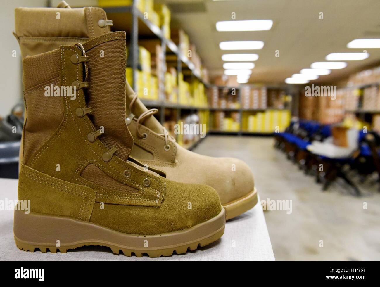 hastalık genel bakış aktarma a17 nwg timberland - karscicek.net