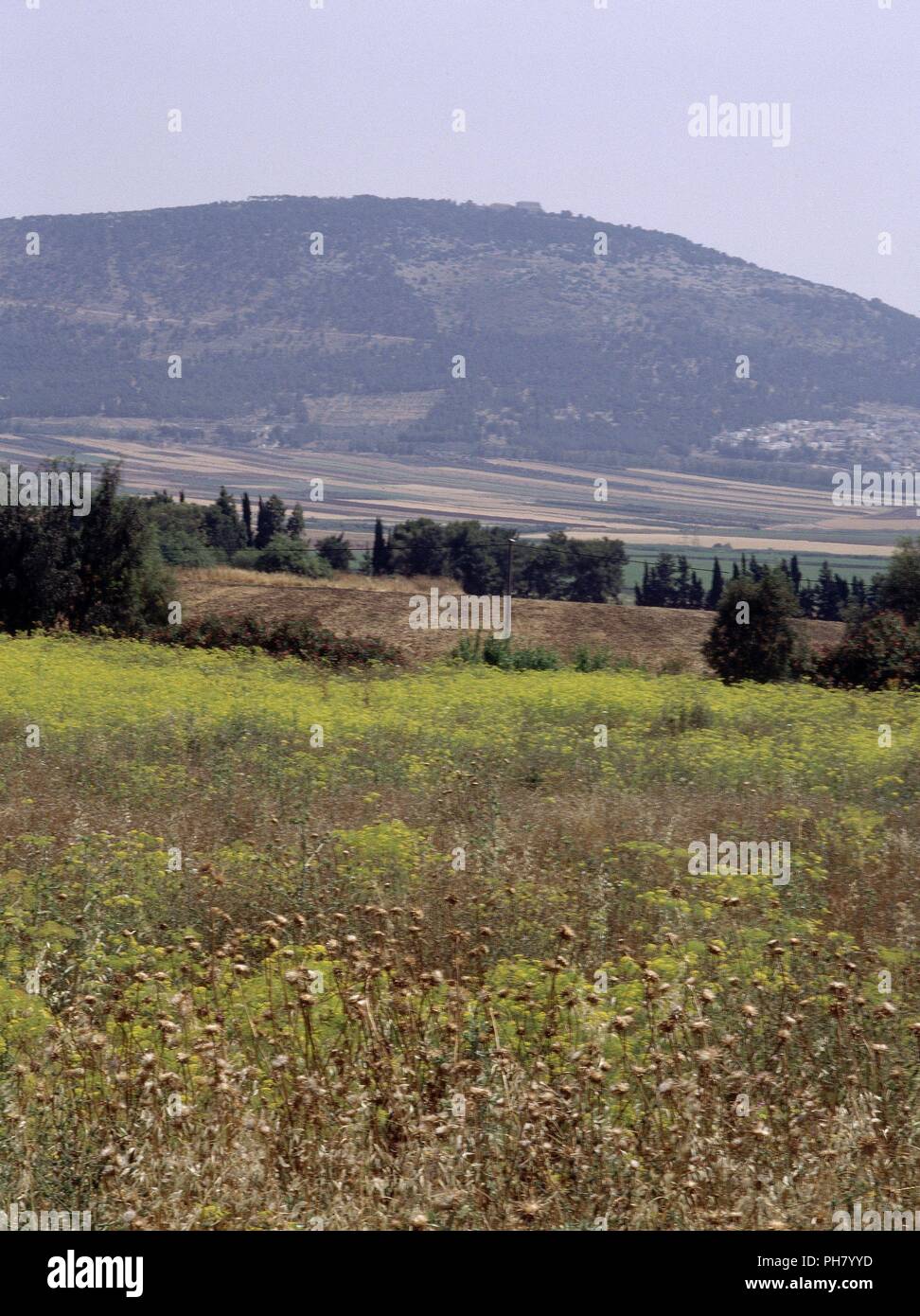 VISTA DEL MONTE TABORSEGUN LA BIBLIA JESUS SE TRANSFIGURO EN ESTE MONTE ANTE 3 DISCIPULOS VISTA DEL MONTE TABORSEGUN LA BIBLIA JESUS SE TRANSFIGURO EN ESTE MONTE ANTE 3 DISCIPULOS