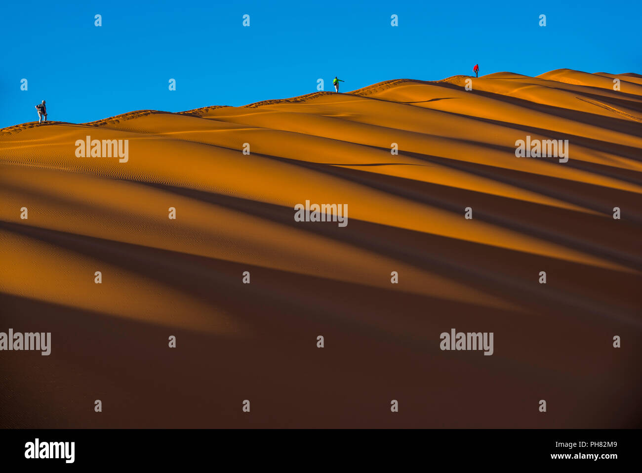 Tourists climb on a sand dune in the Sossusvlei, Namib desert, Namib ...