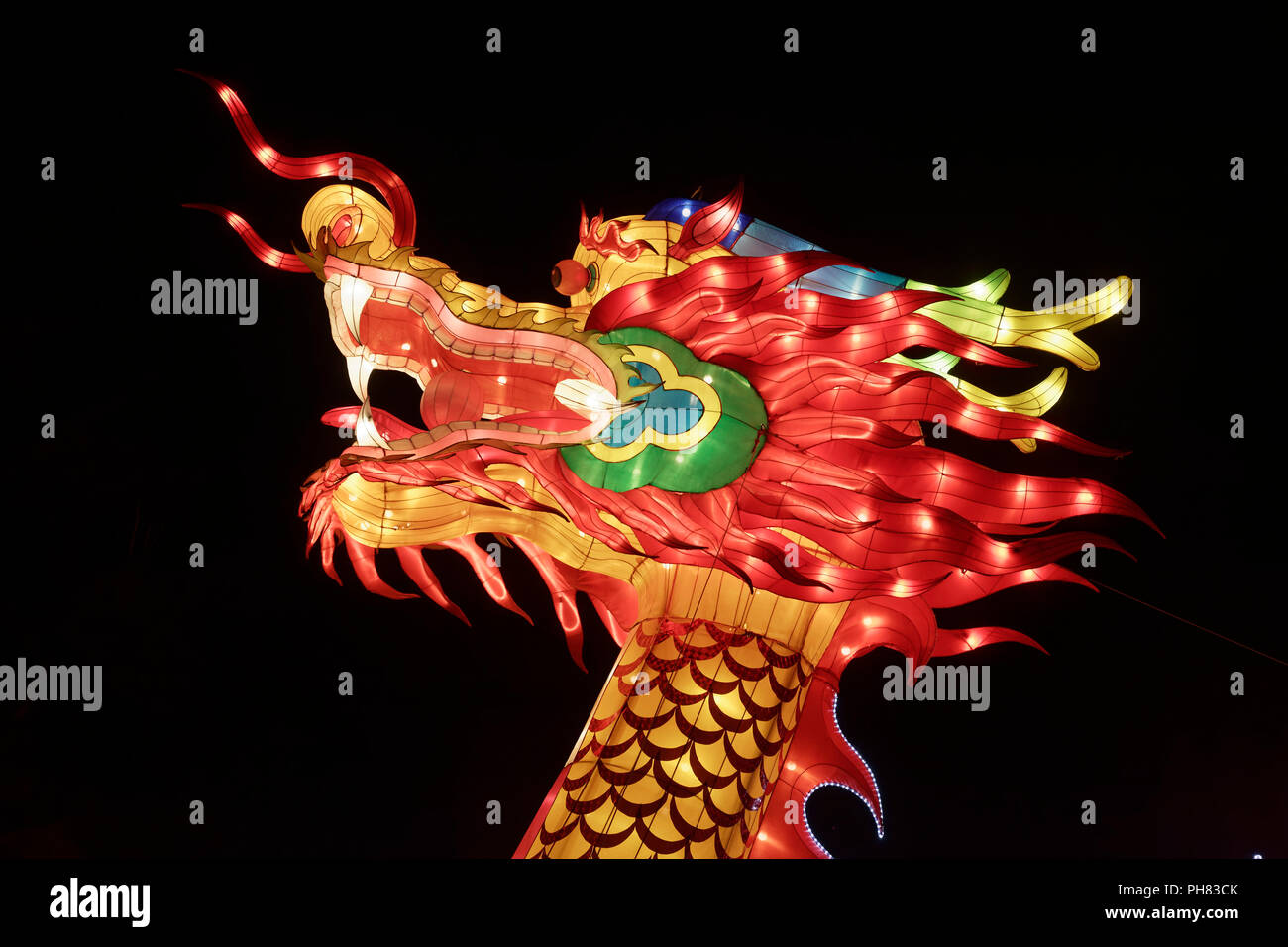 Chinese Dragon, Head, Illuminated Figure, Light Installation, China Light Festival, Cologne Zoo, Cologne, North Rhine-Westphalia Stock Photo