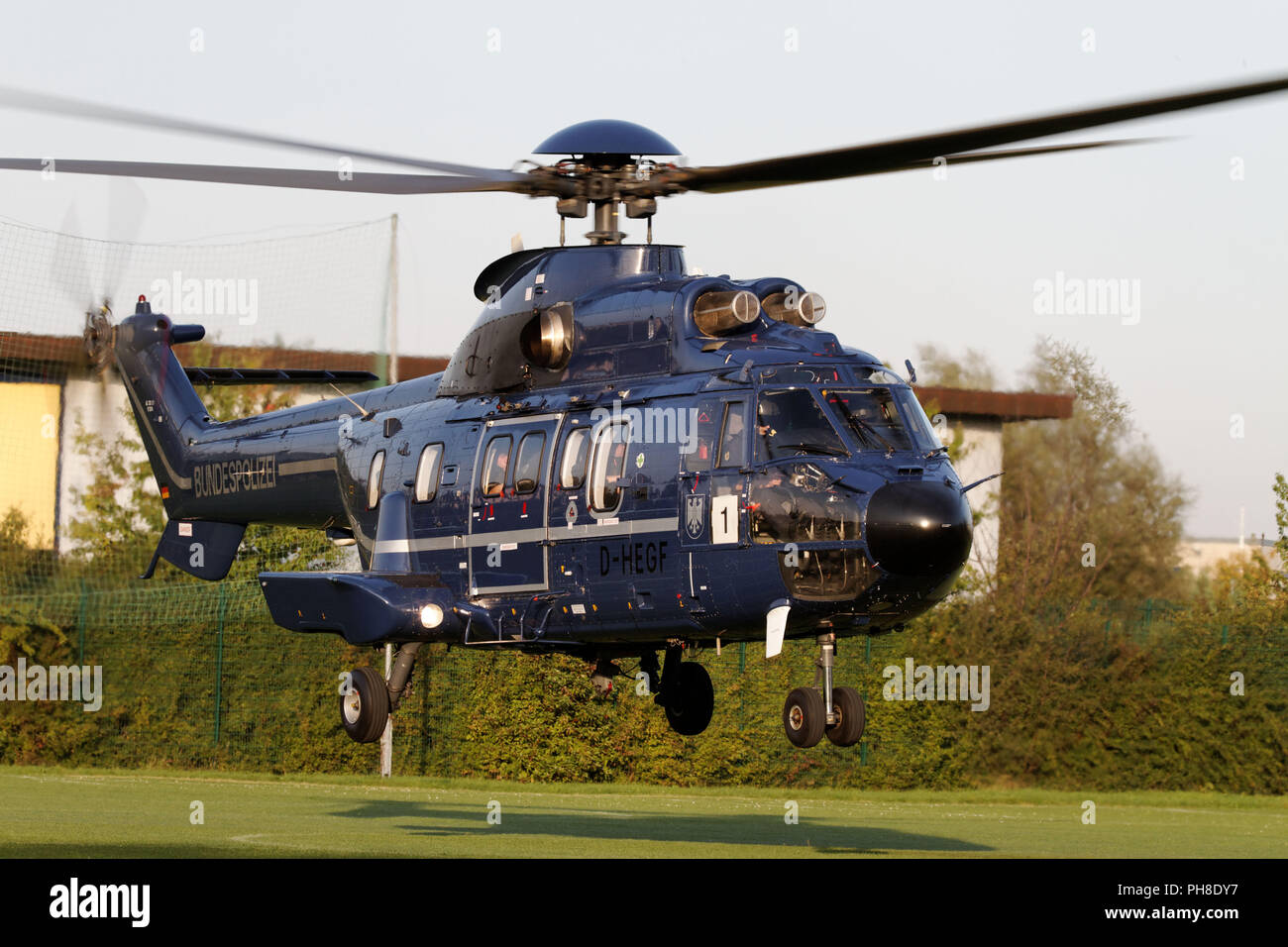 AS 332 L1 Super Puma helicopter of the Federal Pol Stock Photo