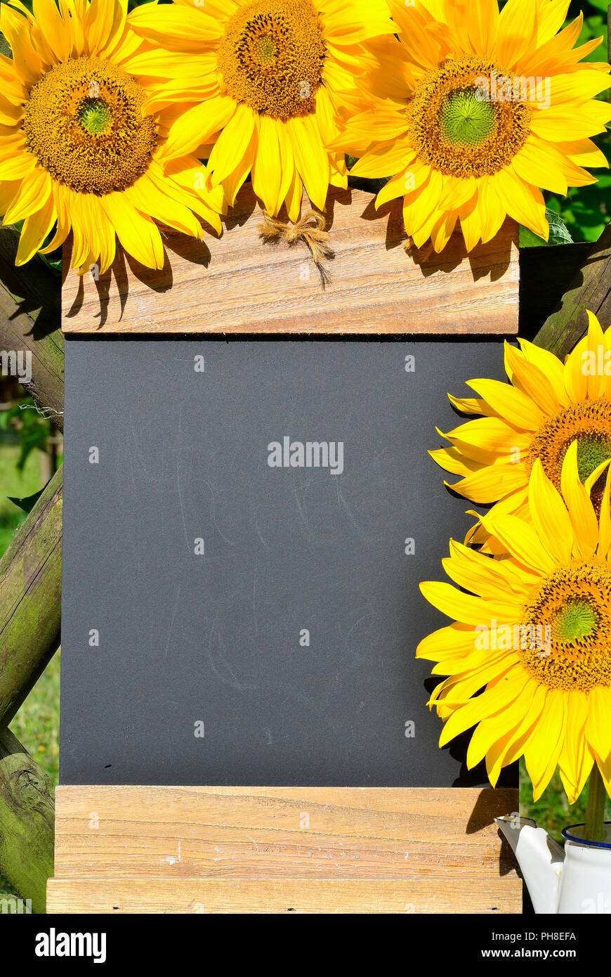 Table sunflower garden fence garden Stock Photo Alamy