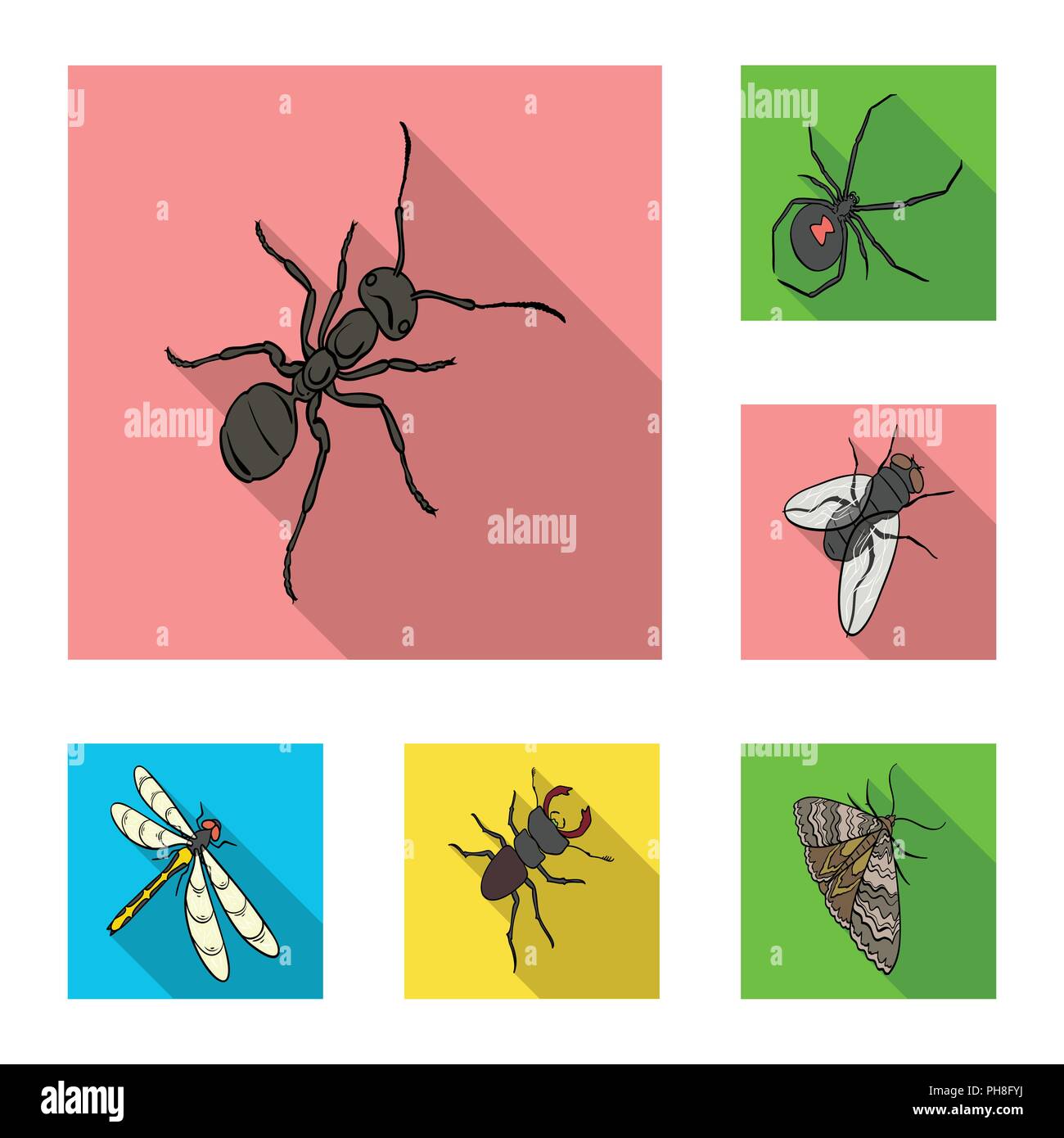 Different kinds of insects flat icons in set collection for design ...