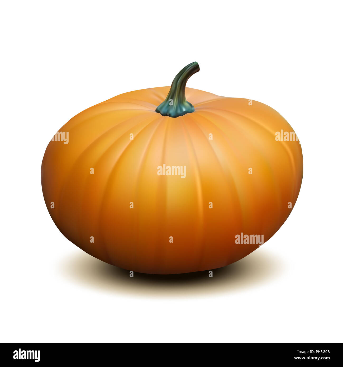 Orange realistic pumpkin Stock Photo
