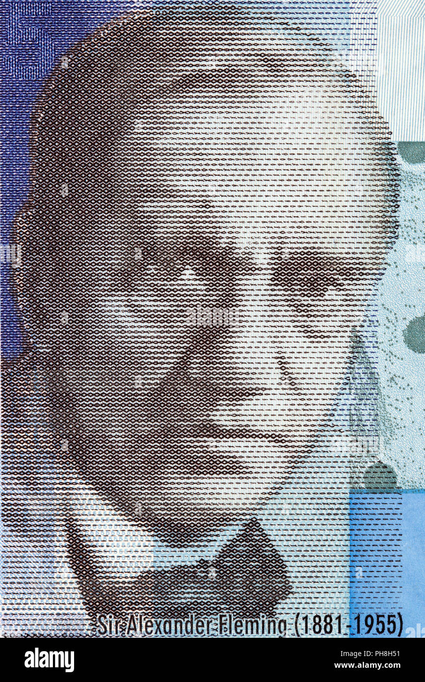 Alexander Fleming portrait from Scottish money Stock Photo