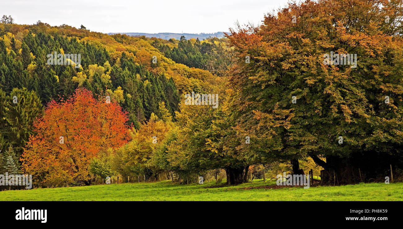 Landscape, autumn, Wuppertal, Germany Stock Photo