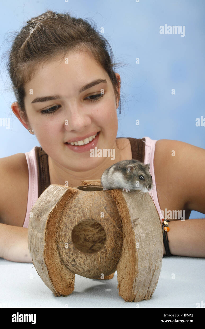 Image showcasing russian dwarf hamster Stock Photo - Alamy