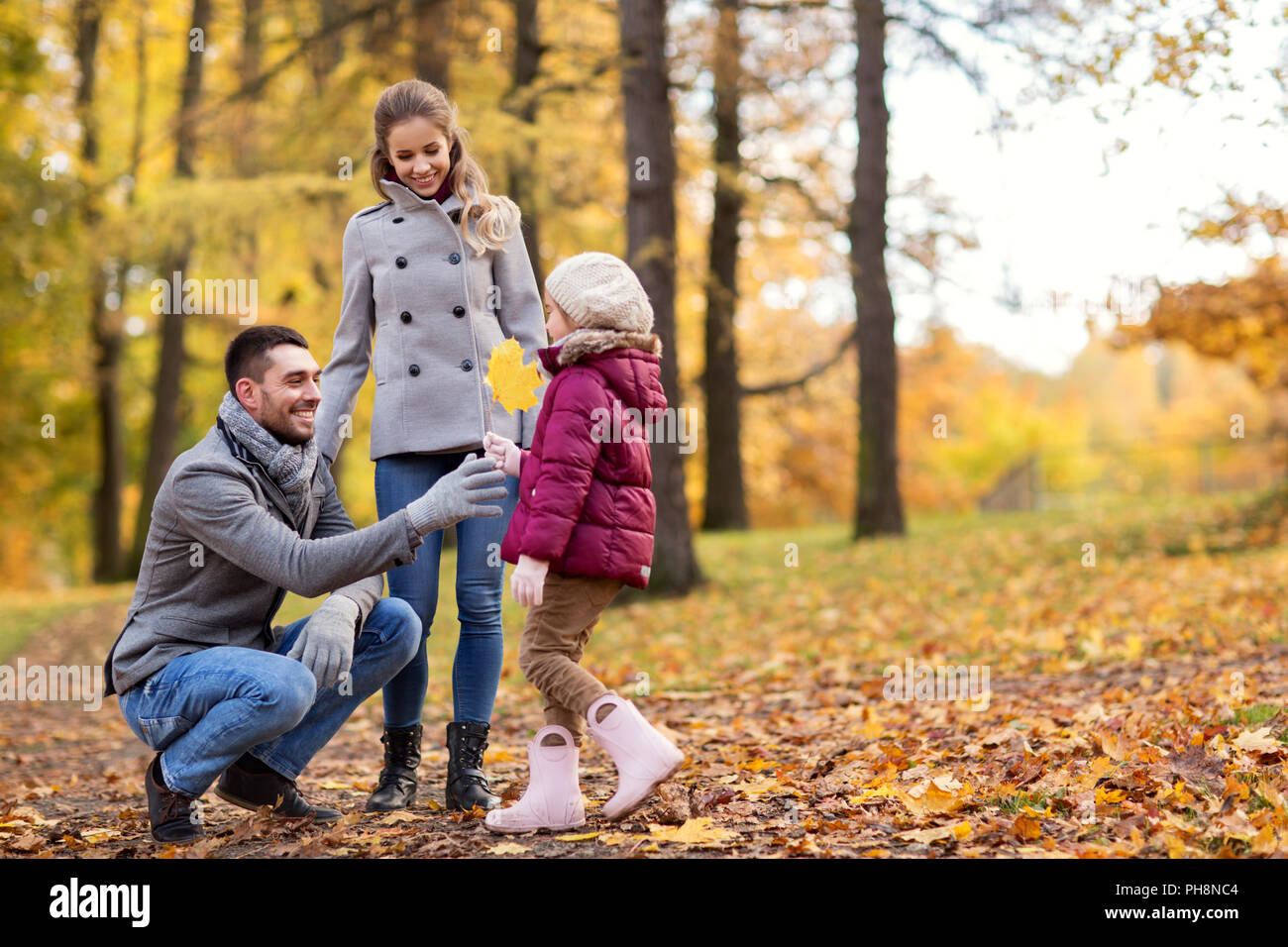 happy family with maple leaf at autumn park Stock Photo - Alamy