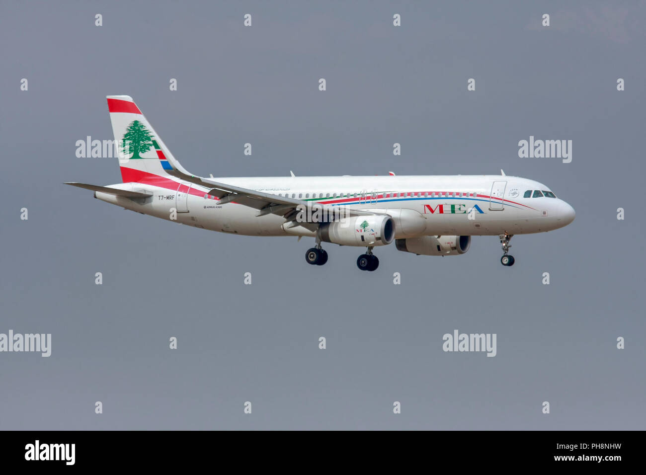 T7-MRF MEA - Middle East Airlines Airbus A320-200 at Malpensa (MXP / LIMC), Milan, Italy Stock Photo