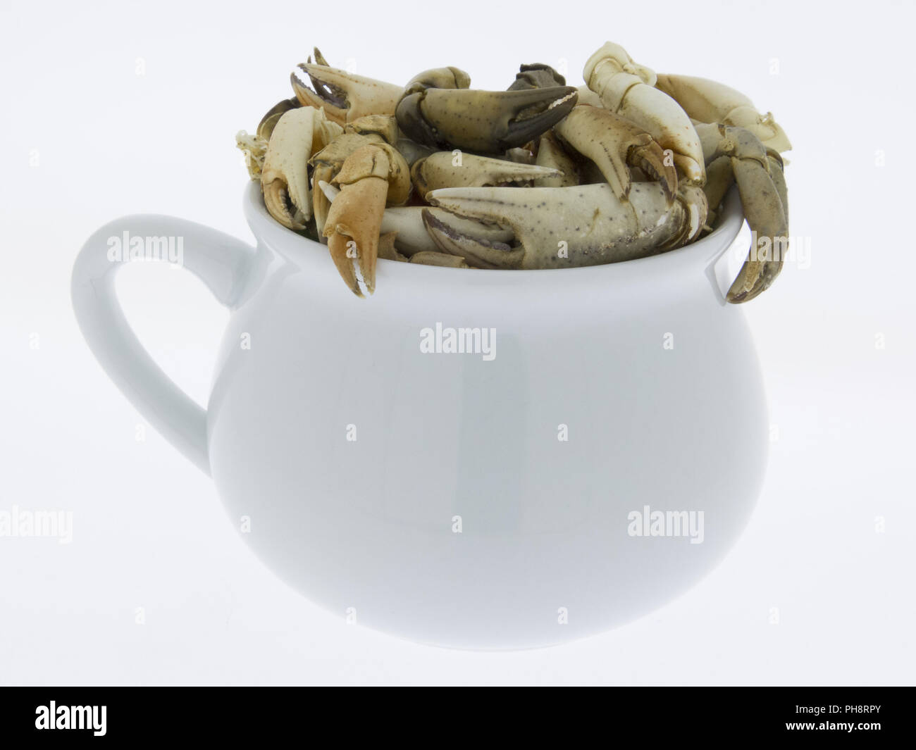 Nippers of crabs, seafood, isolated Stock Photo Alamy
