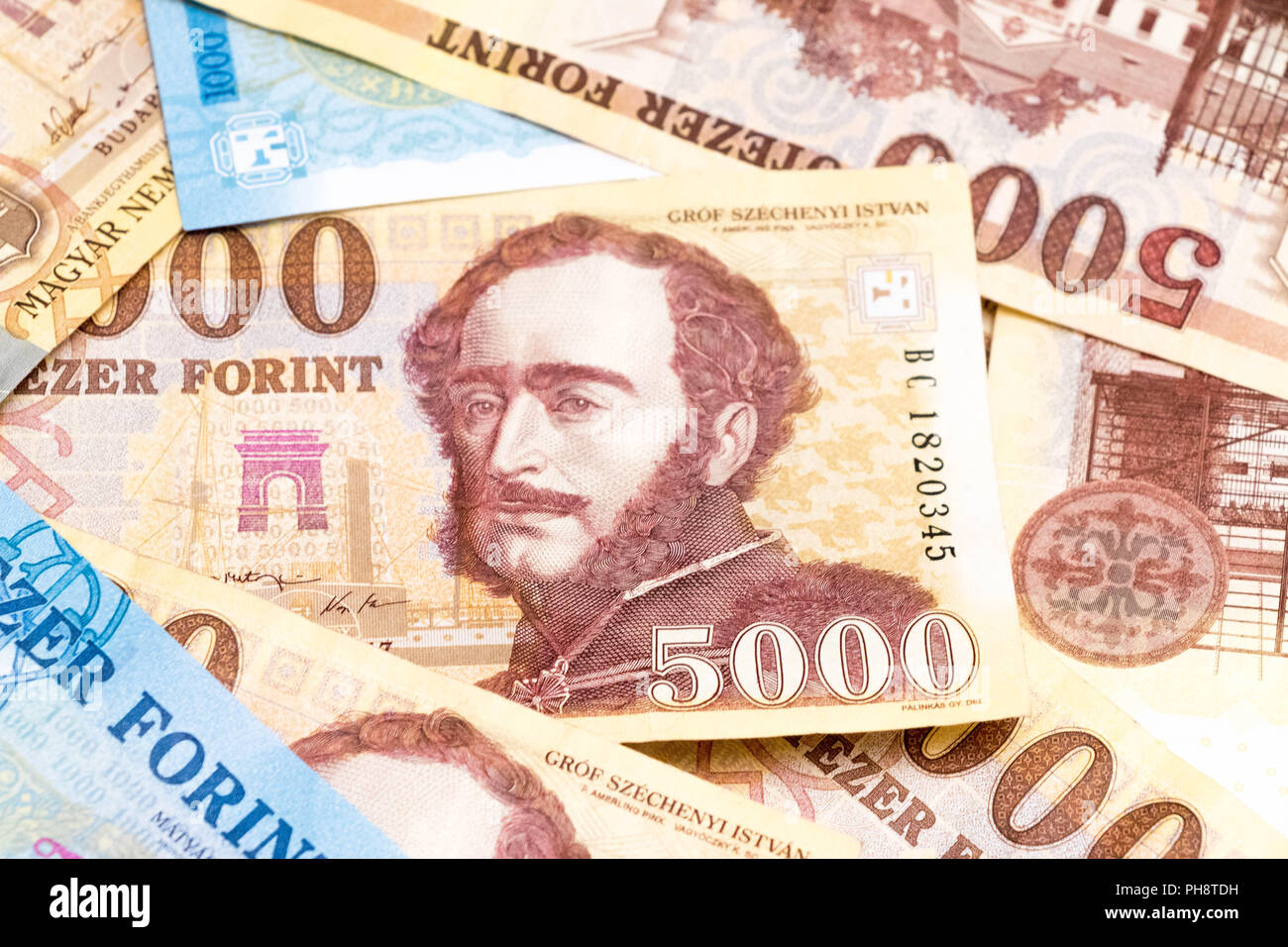 Hungarian Hungary Money Forint Bill 1000 5000 Stock Photo Alamy hungarian-hungary-money-forint-bill-1000-5000-stock-photo-alamy