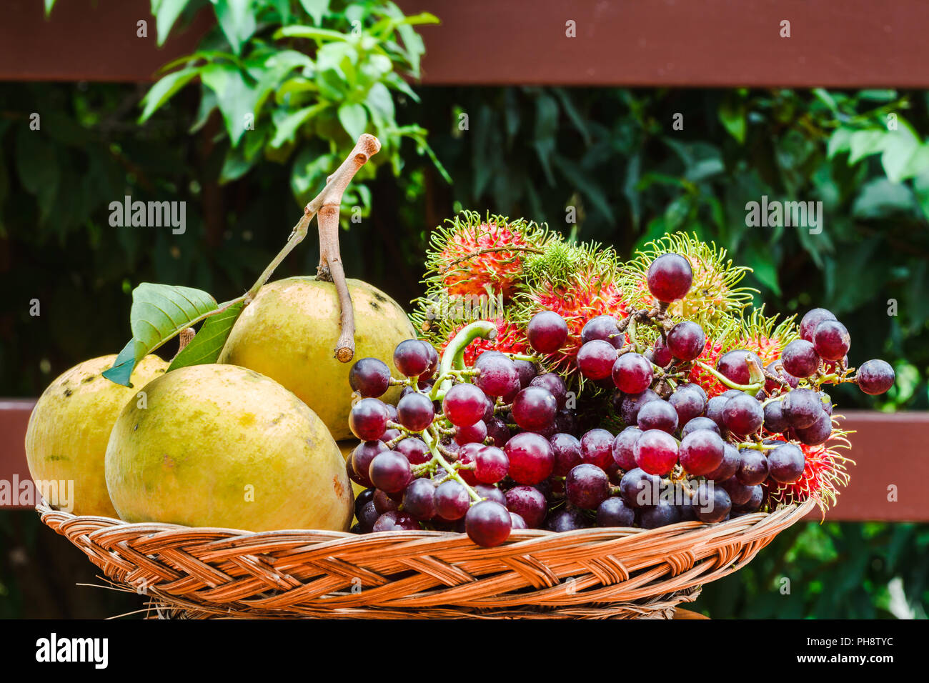 Hairy round fruit hi-res stock photography and images - Alamy