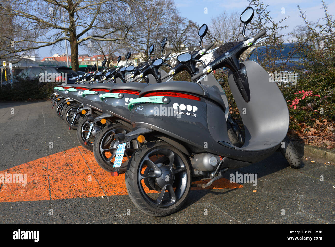 Coup eScooter, Messedamm, Westend, Charlottenburg, Berlin, Deutschland Stock Photo