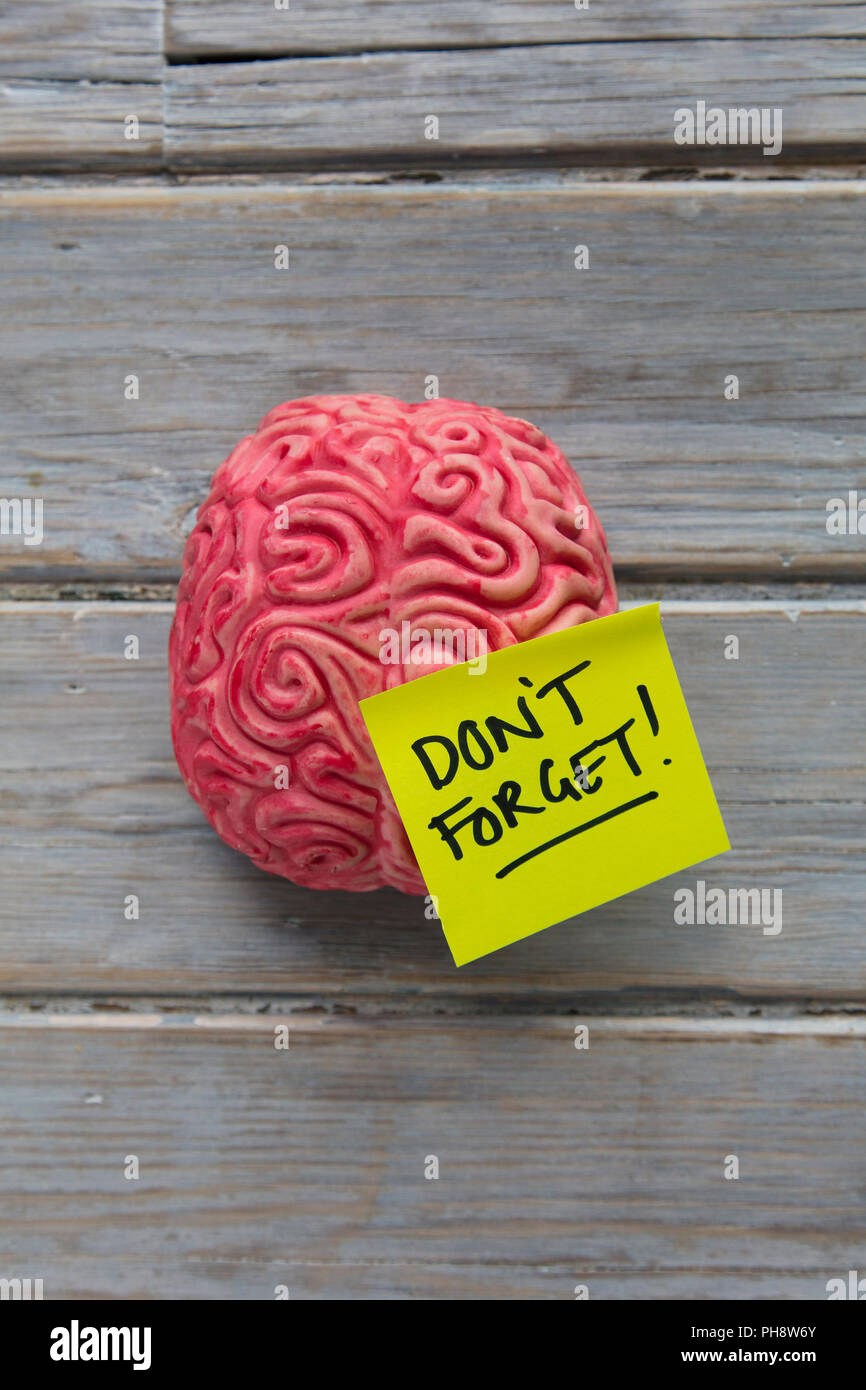 Don't forget label stuck on a brain Stock Photo