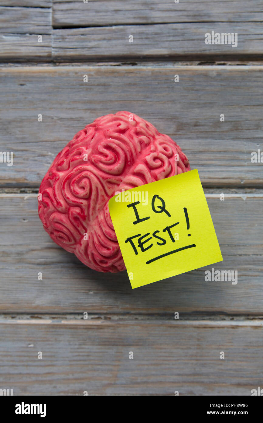 IQ test label stuck on a brain Stock Photo