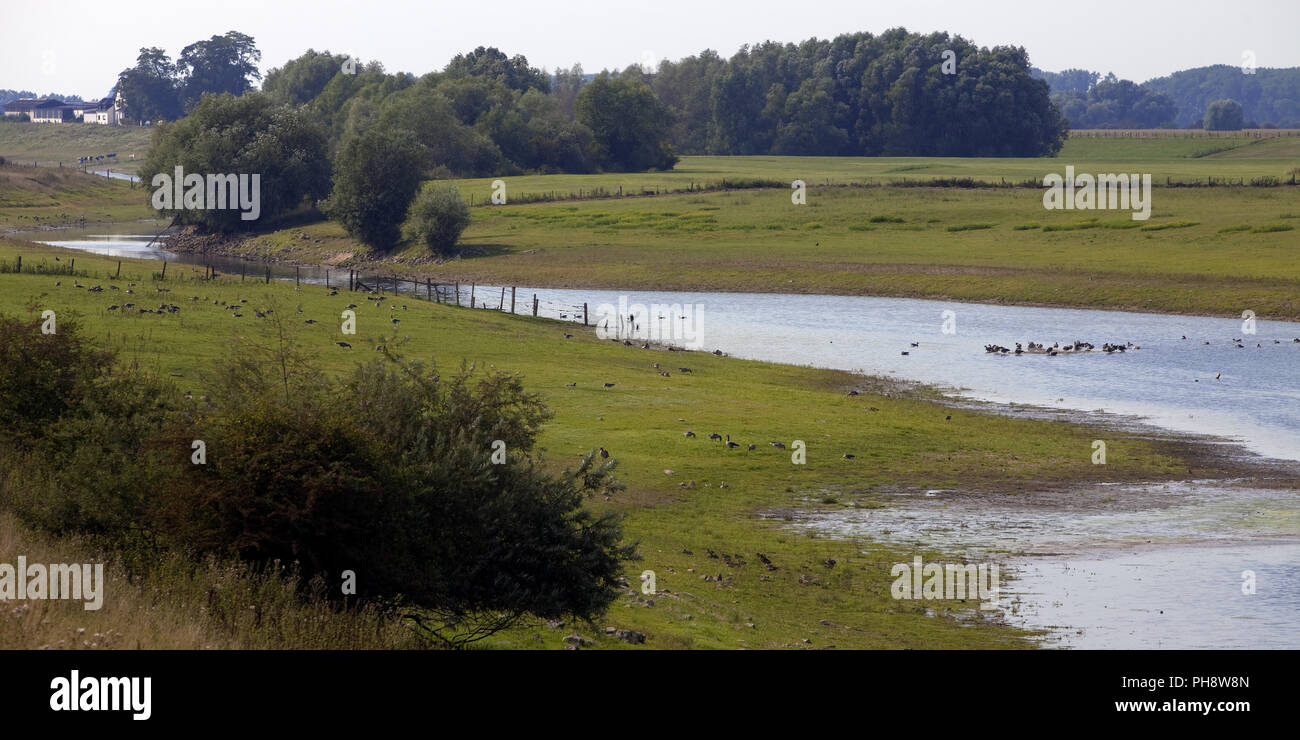 Griethausener Altrhein, the old river Rhein, Kleve Stock Photo