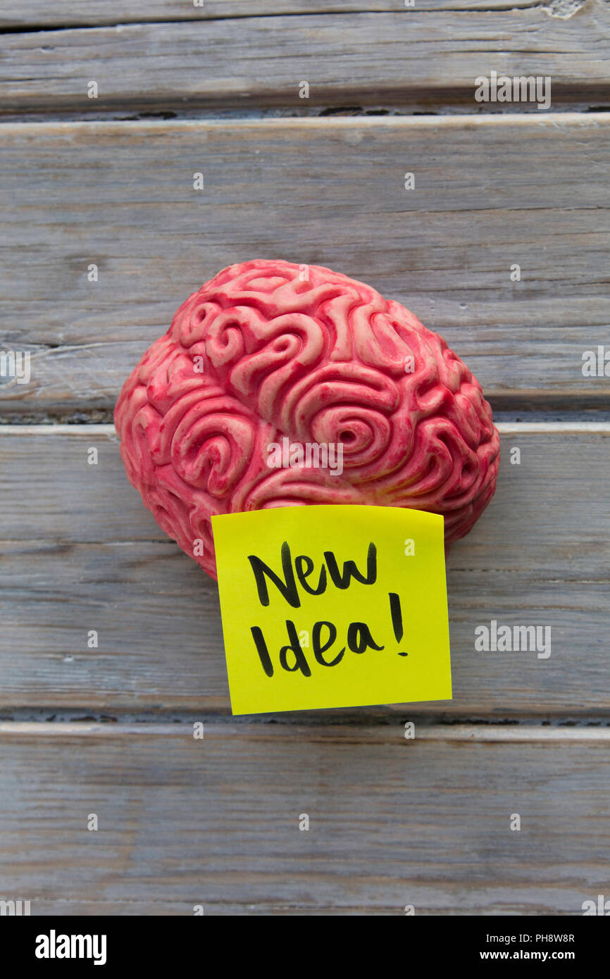 New idea label stuck on a brain Stock Photo