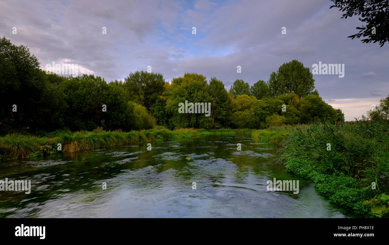 Summer evening golden light on the River Itchen full of Water