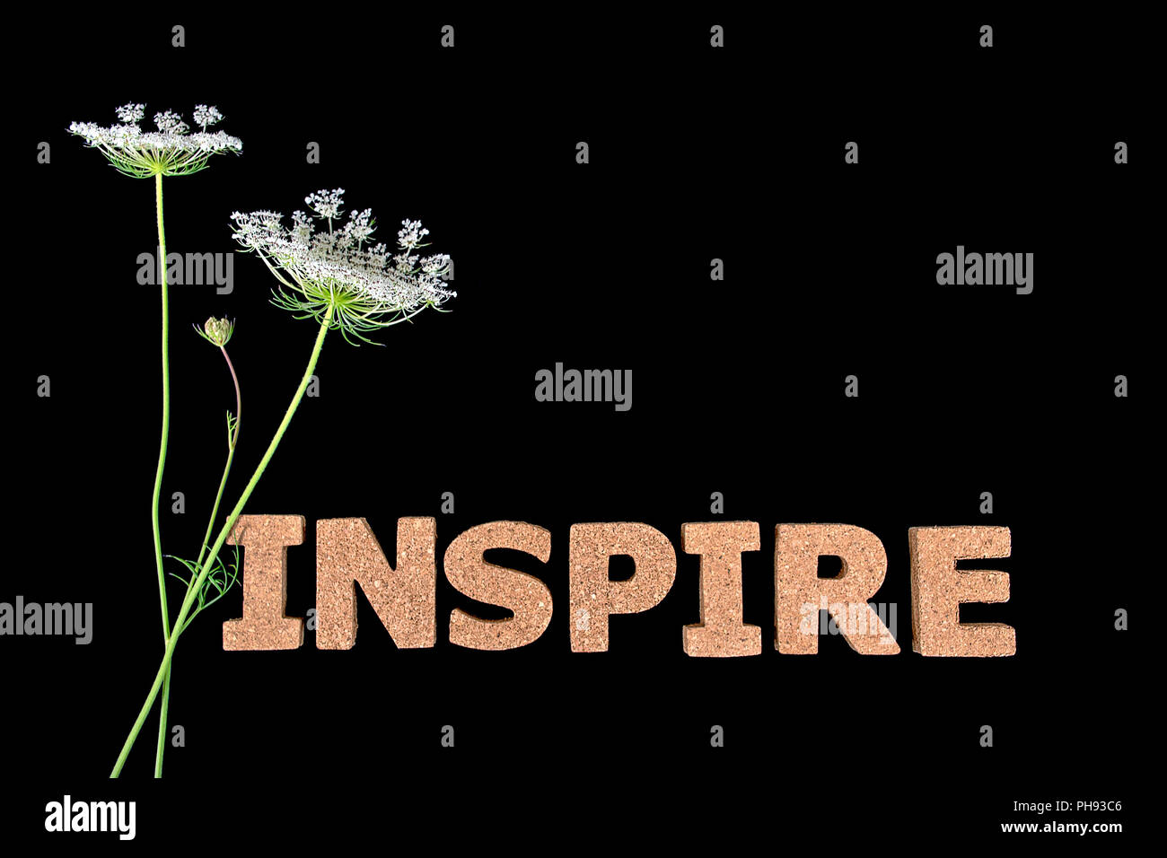 word inspire in cork material on black with Queen Anne Lace bouquet Stock Photo