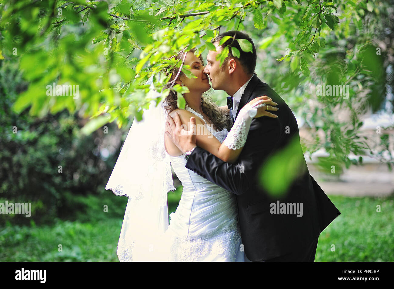 wedding couple under the tree at their lucky day Stock Photo
