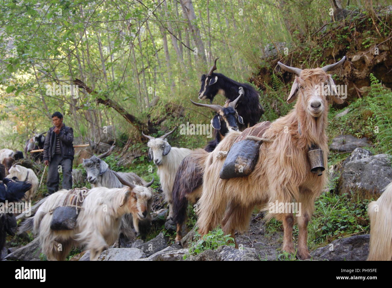 Far-western Nepal Stock Photo