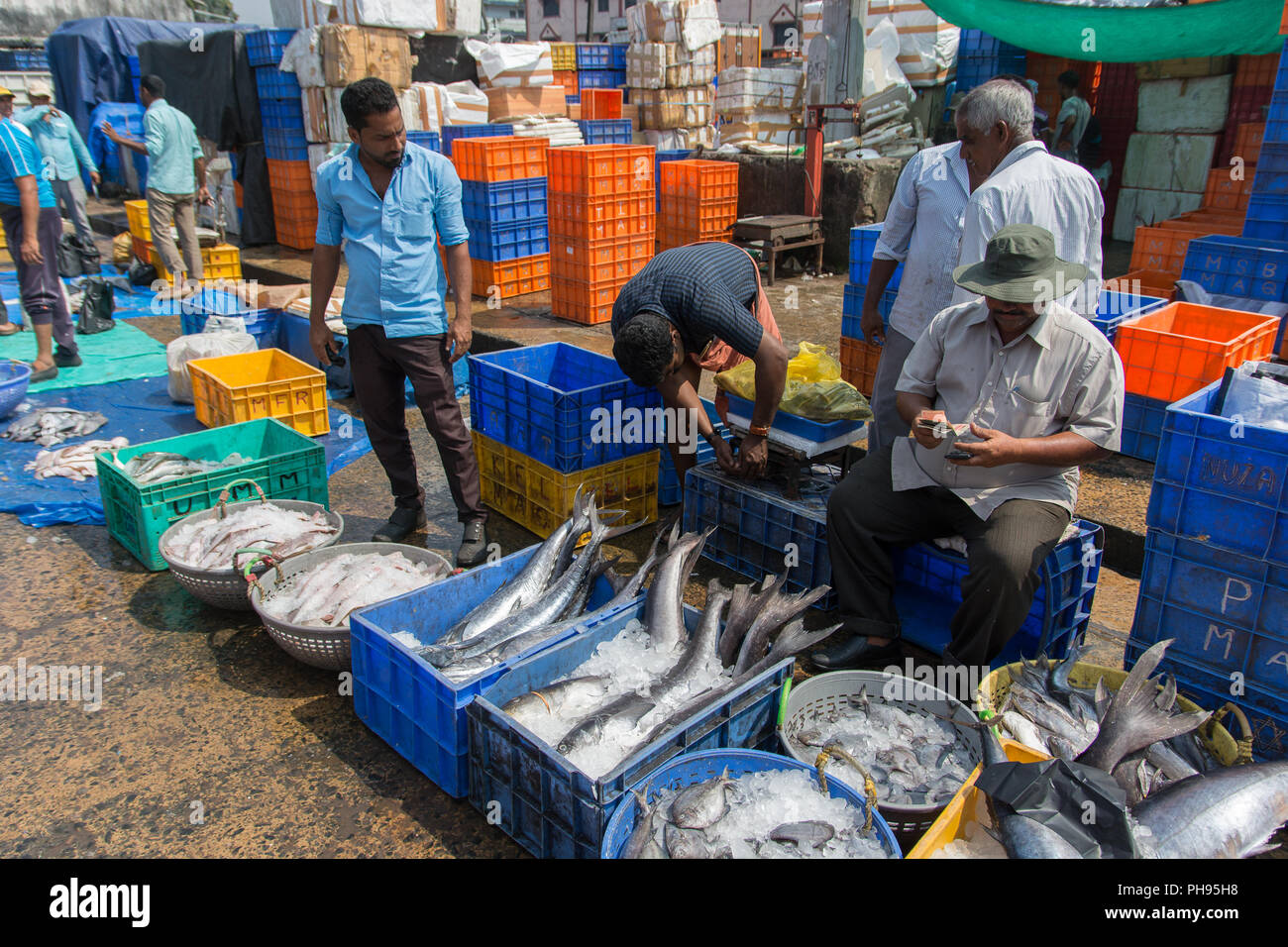 Unloading Fish Boxes From Fishing High Resolution Stock Photography and ...