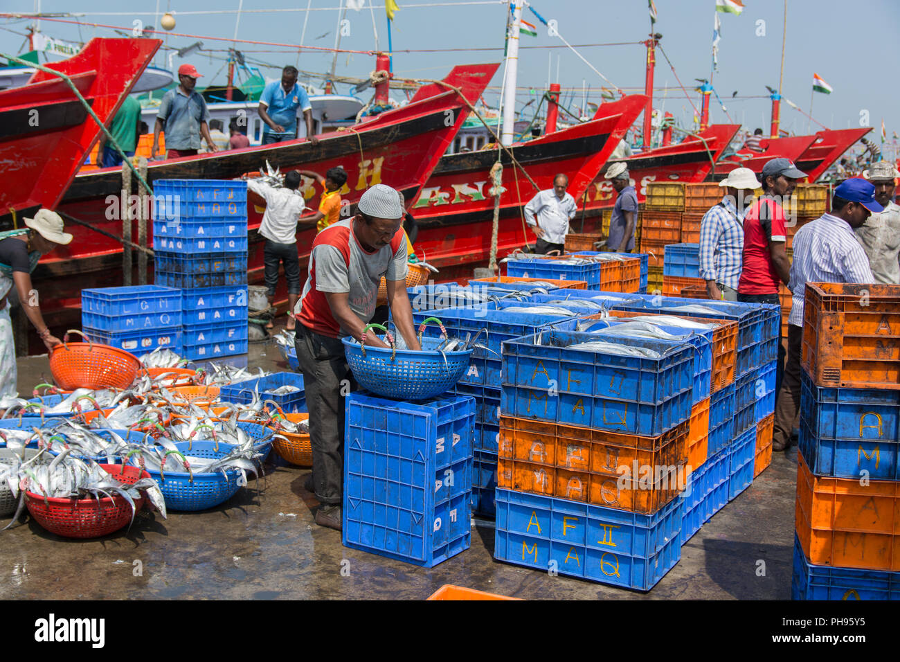 Mumbai, India July 8, 2018 Vendors on fish market unloading and