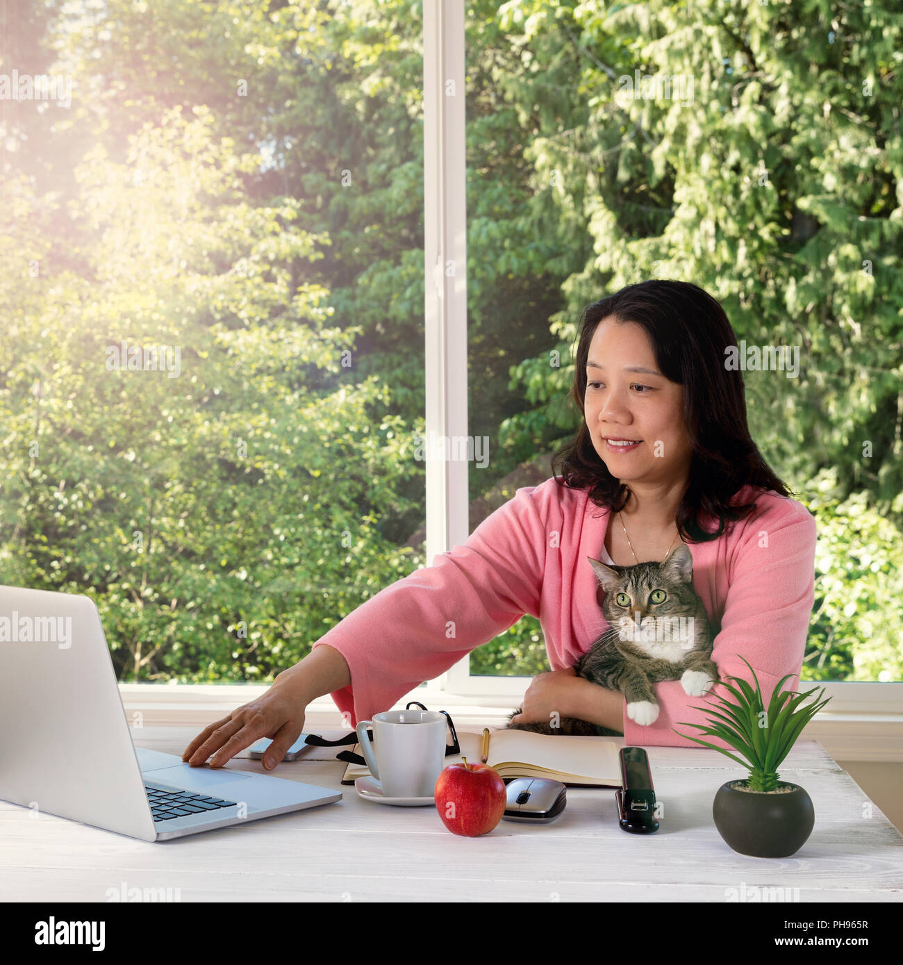 woman holding her family pet cat while working from home Stock Photo