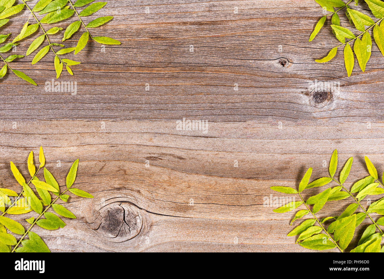 Small leaves in all corners of rustic wooden board Stock Photo