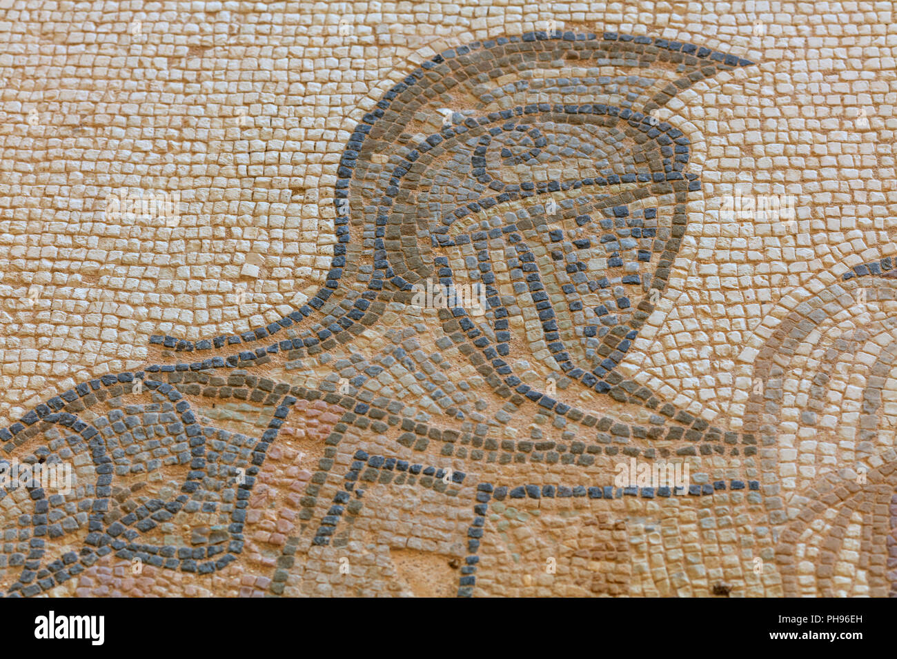 Mosaics in House of the Gladiators (3rd century), ancient Greek city Kourion, near Limassol, Cyprus Stock Photo