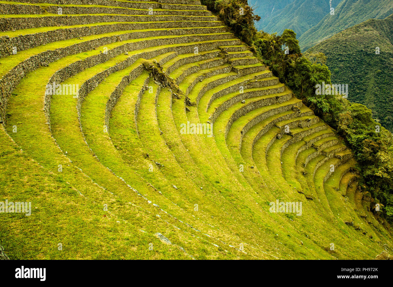 The Incan Ruins of Winay Wayna, including agricultural terraces and its microclimates,, along the Inca Trail to Machu Picchu. Sacred Valley, Peru Stock Photo