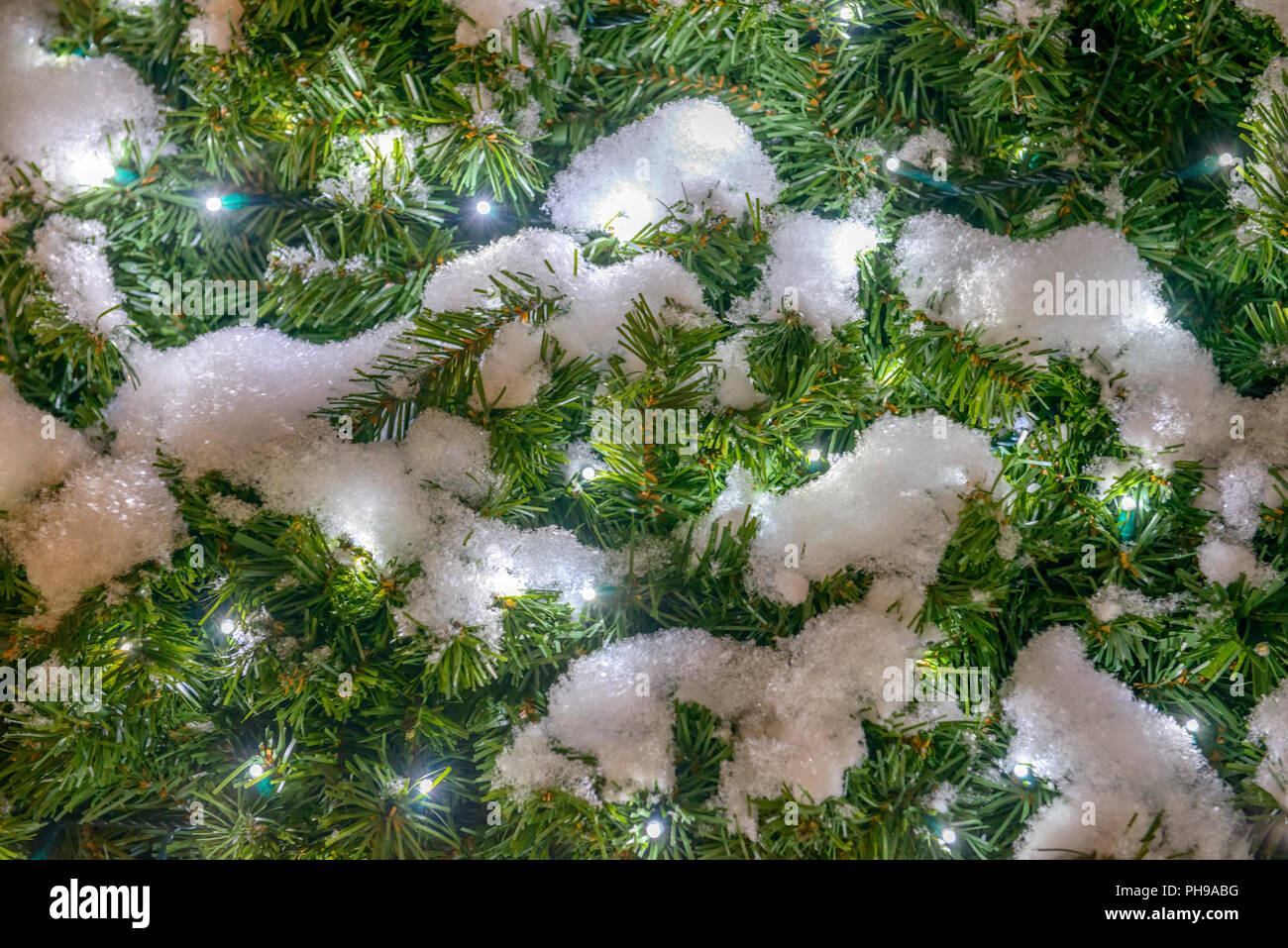 Spruce with snow and garland lights Stock Photo