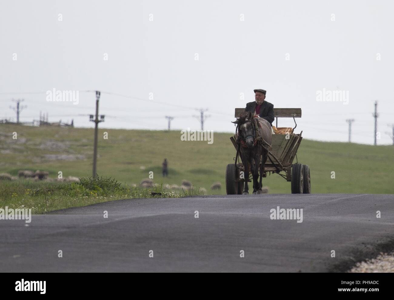 Horse carriage, Village Plopu, Dobrudscha, Romania Stock Photo