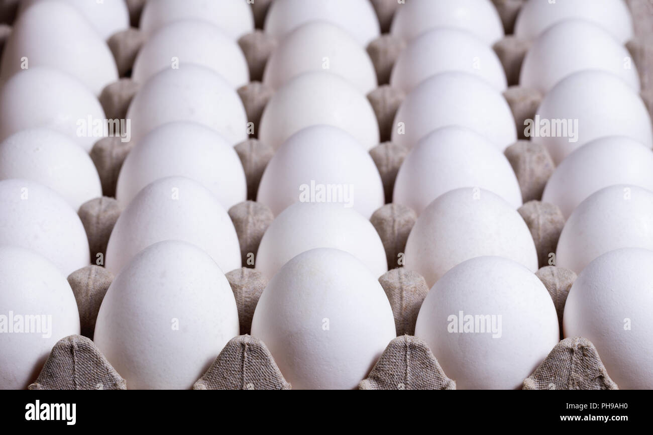 Cardboard carton filled with fresh whole eggs Stock Photo Alamy