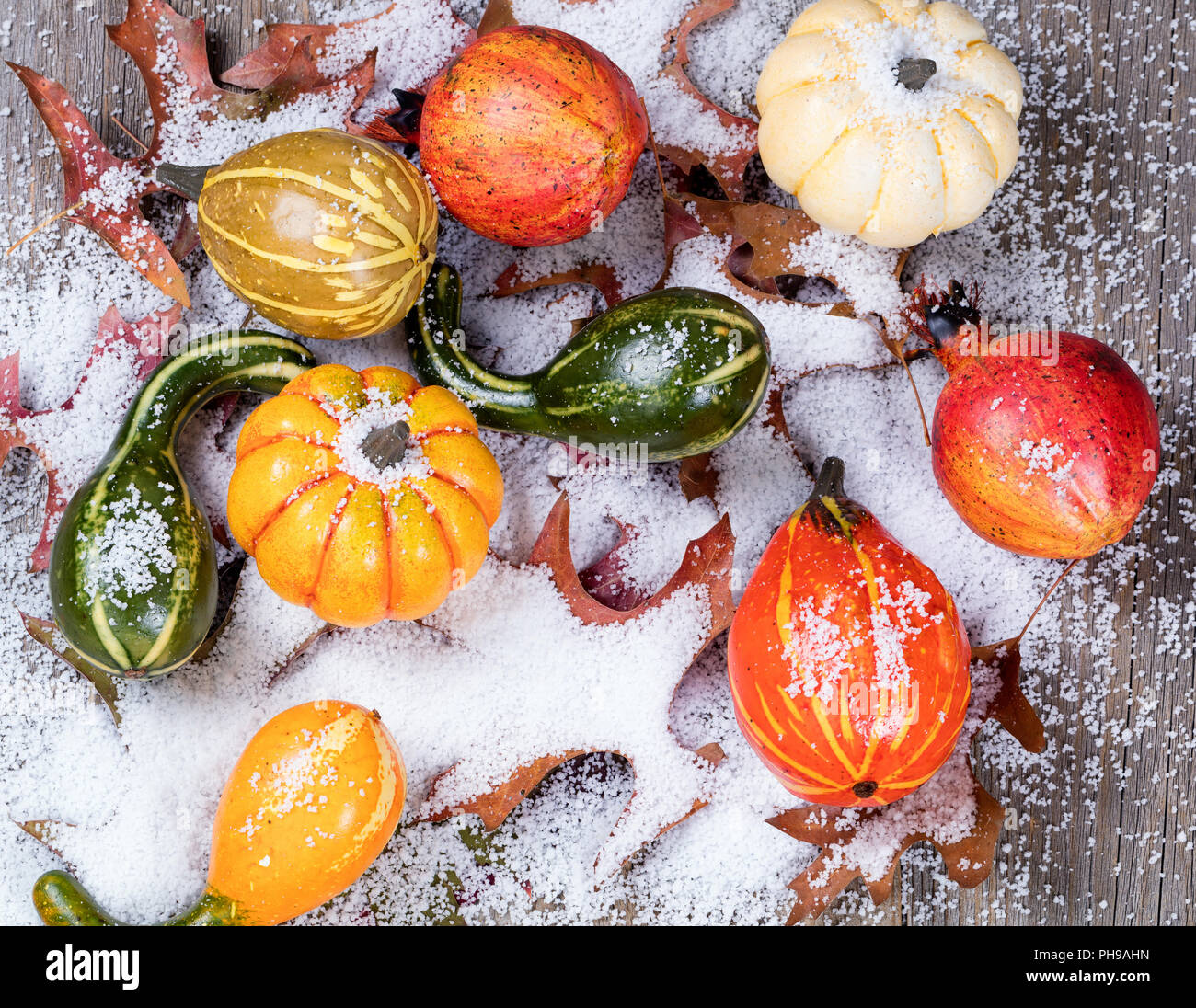 Early snow with autumn gourds and leaves on wood Stock Photo