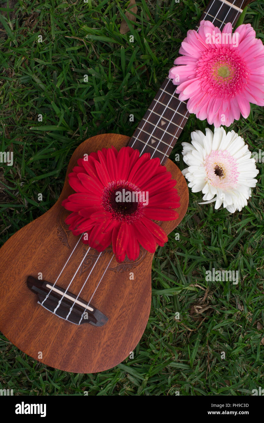 Hawaii ukulele hires stock photography and images Alamy