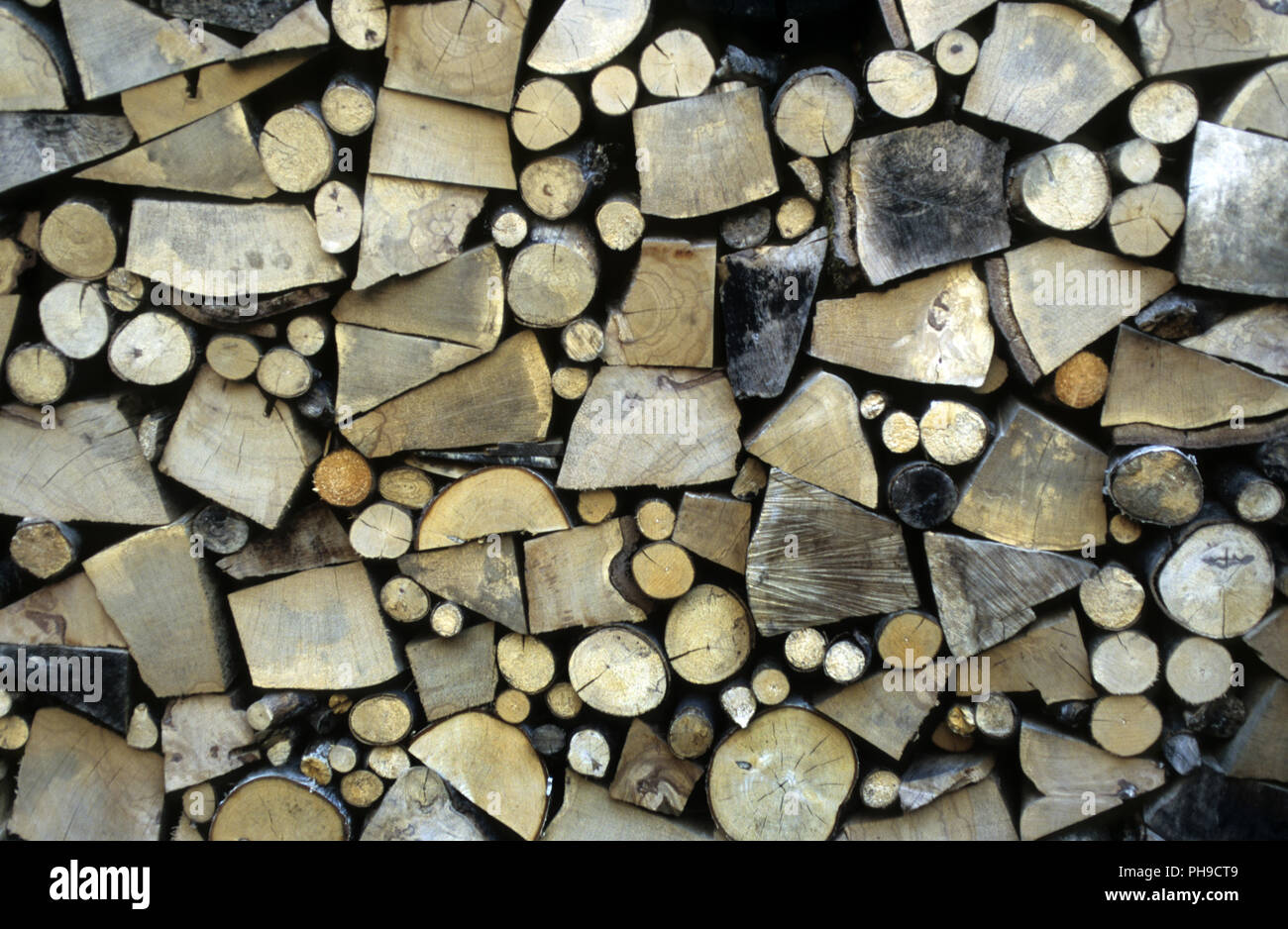Stacked firewood Stock Photo