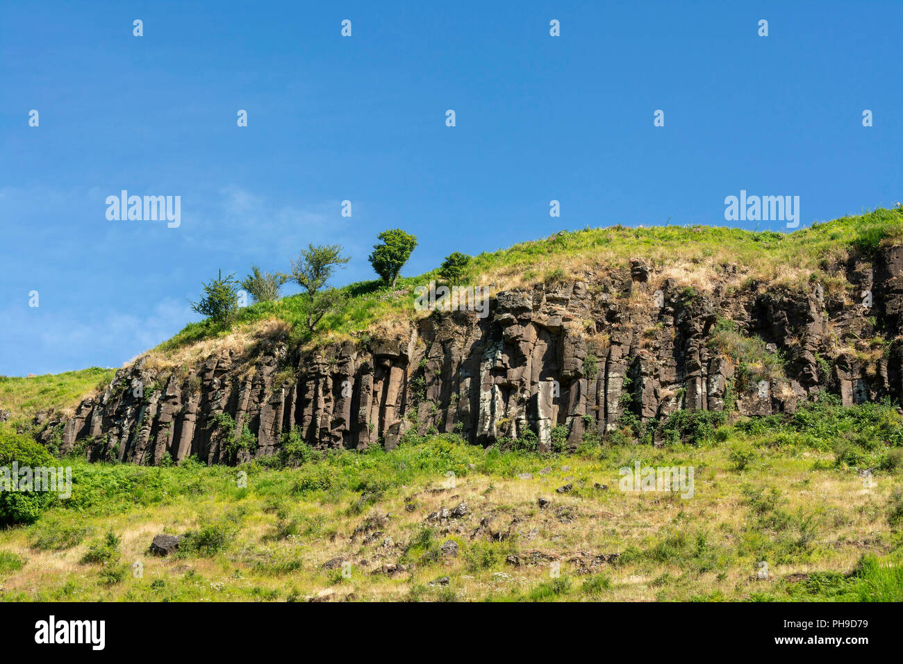 Basaltic organs , Auvergne Volcanoes Natural Park, Puy de Dome, Auvergne Rhone Alpes, France Stock Photo