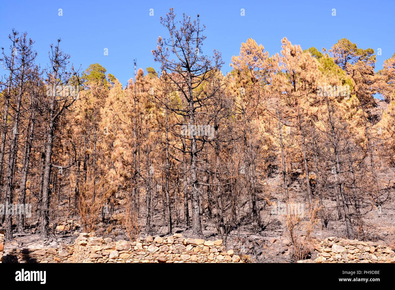 Effects of heat hires stock photography and images Alamy