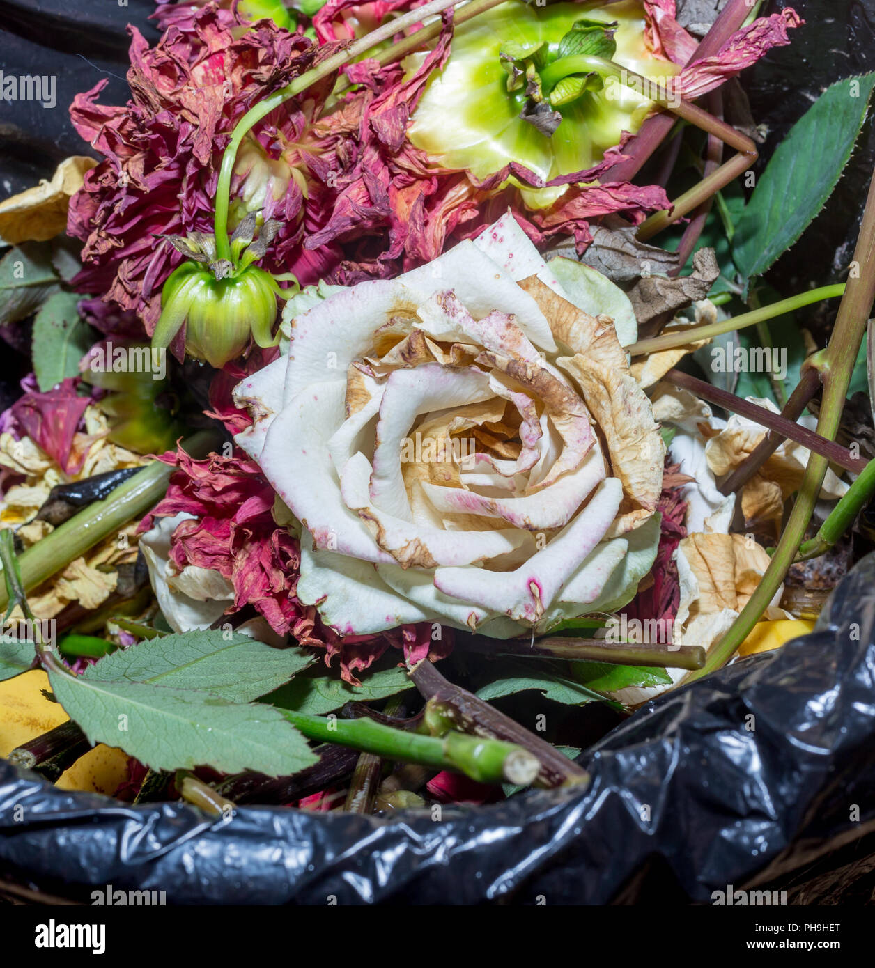 Withered white rose and other flowers in trash can. Dried flowers and