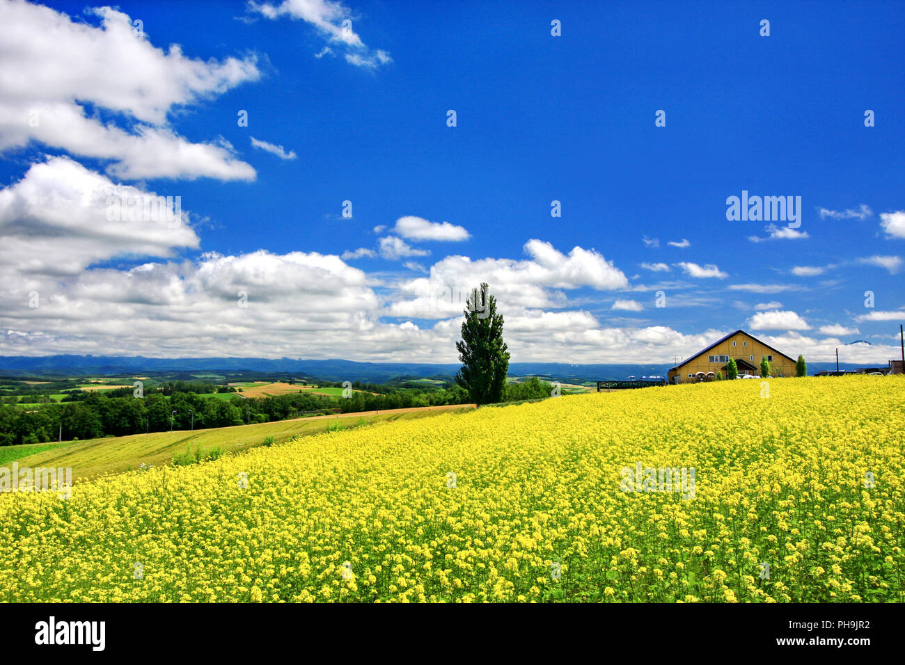 Hana Hills Stock Photos & Hana Hills Stock Images - Alamy